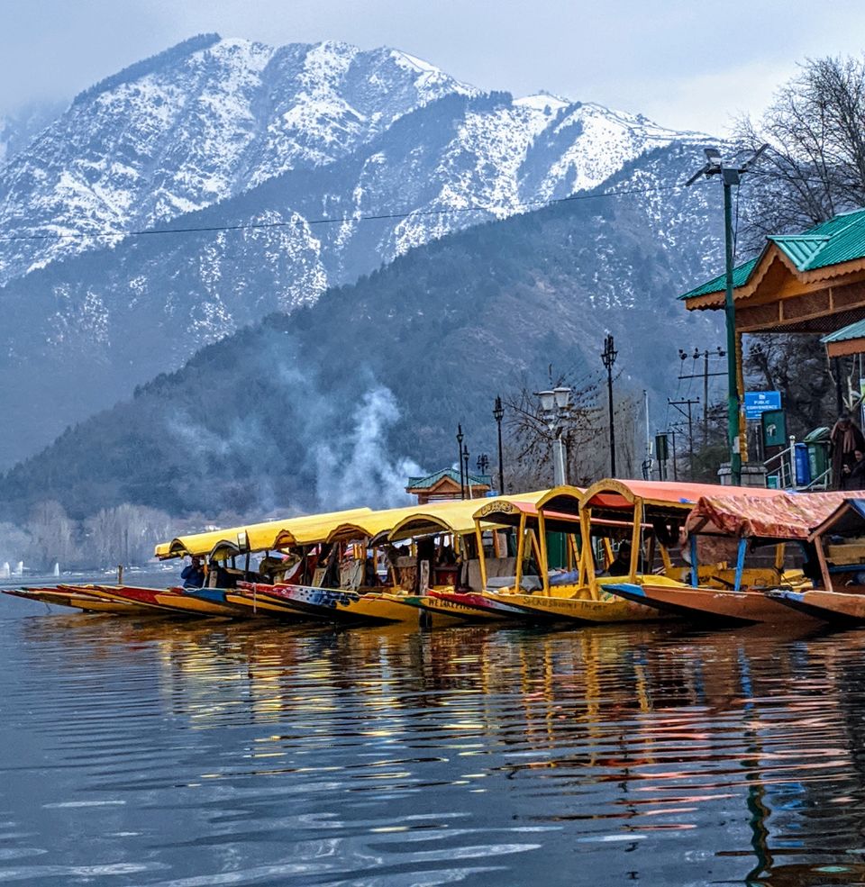 Photo of KASHMIR IS CALLING! 6/77 by TwoMuchTogether
