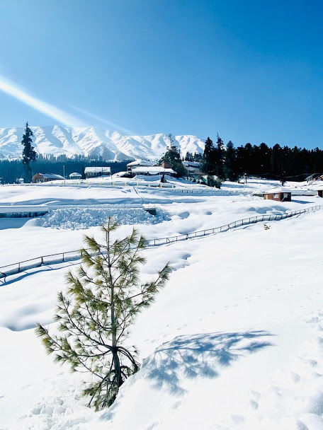 Photo of KASHMIR IS CALLING! 65/77 by TwoMuchTogether