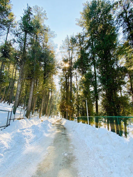 Photo of KASHMIR IS CALLING! 77/77 by TwoMuchTogether