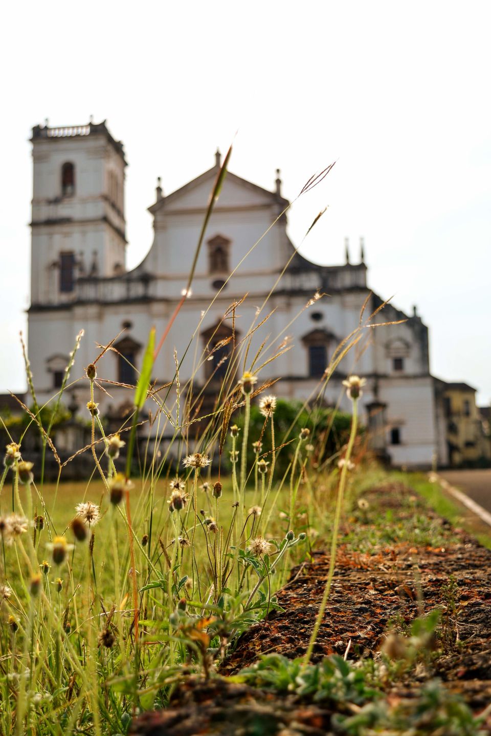 Photo of Your Goa trip is incomplete if you haven't seen these gorgeous churches! 3/13 by TwoMuchTogether