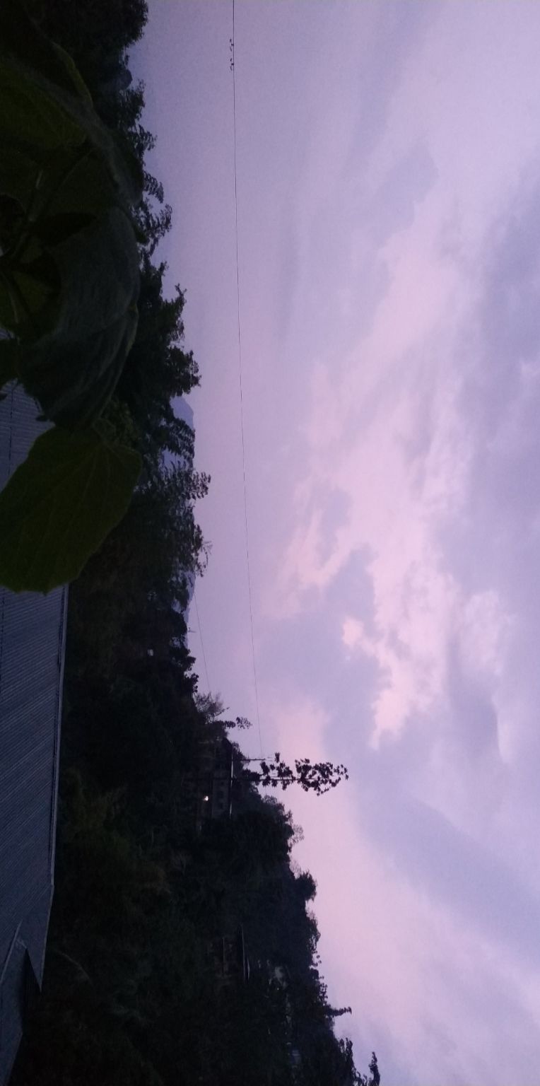 Photo of Land of Thunder Dragons by Meghna Daftary