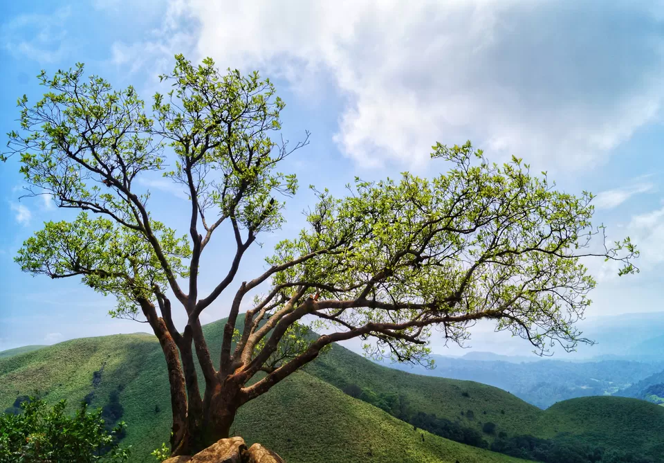 Photo of Madikeri, Karnataka, India by Abhishek K
