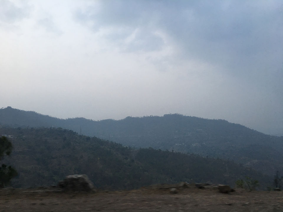 Photo of Maura by Dhaval & Dharini