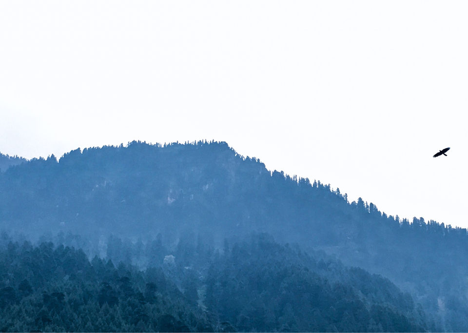 Photo of Prini,Manali by Dhaval & Dharini