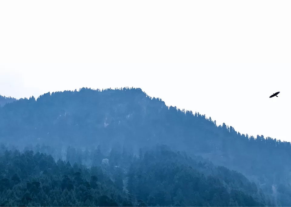 Photo of Prini,Manali by Dhaval & Dharini