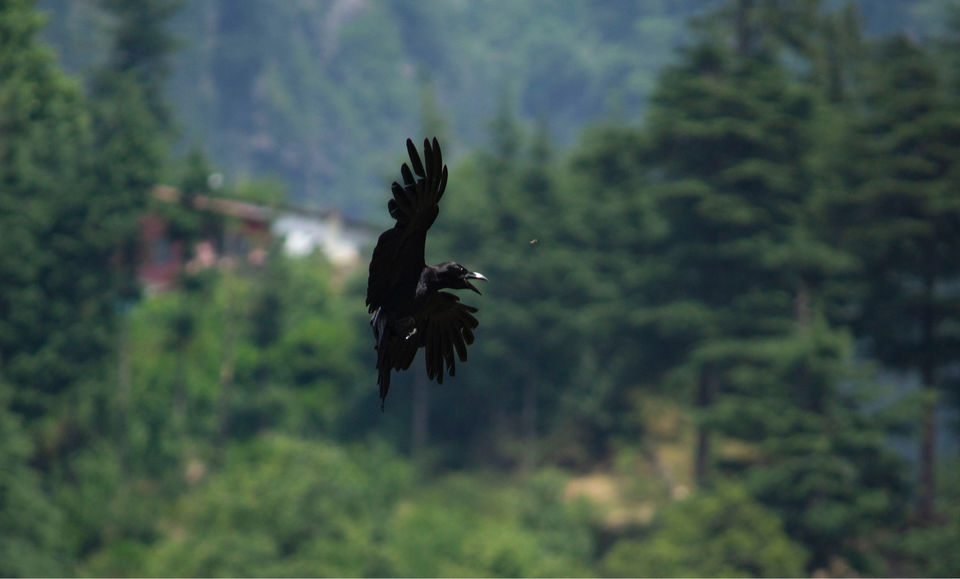 Photo of Leh-Ladakh Trip #tripotocommunity by Dhaval & Dharini