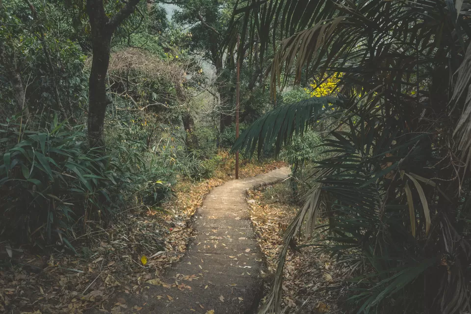 Photo of Nongriat, Meghalaya, India by Suvarchala