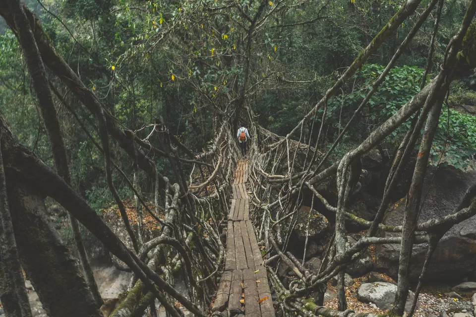 Photo of Nongriat, Meghalaya, India by Suvarchala