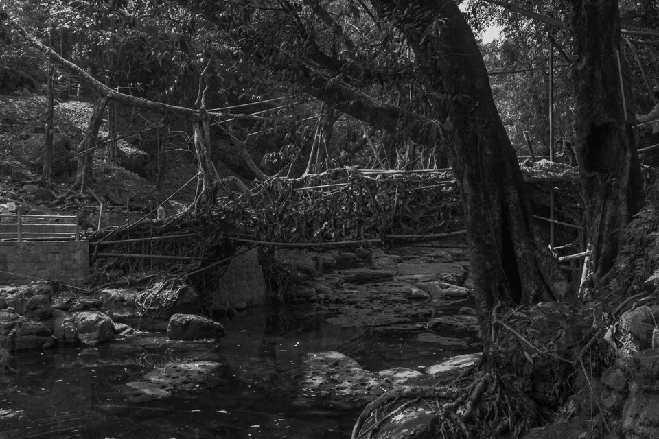 Photo of Riwai, Meghalaya, India by Suvarchala