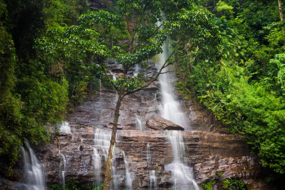 Photo of Mullayanagiri, Chikkamagaluru, Karnataka, India by FAISAL ASHRAF