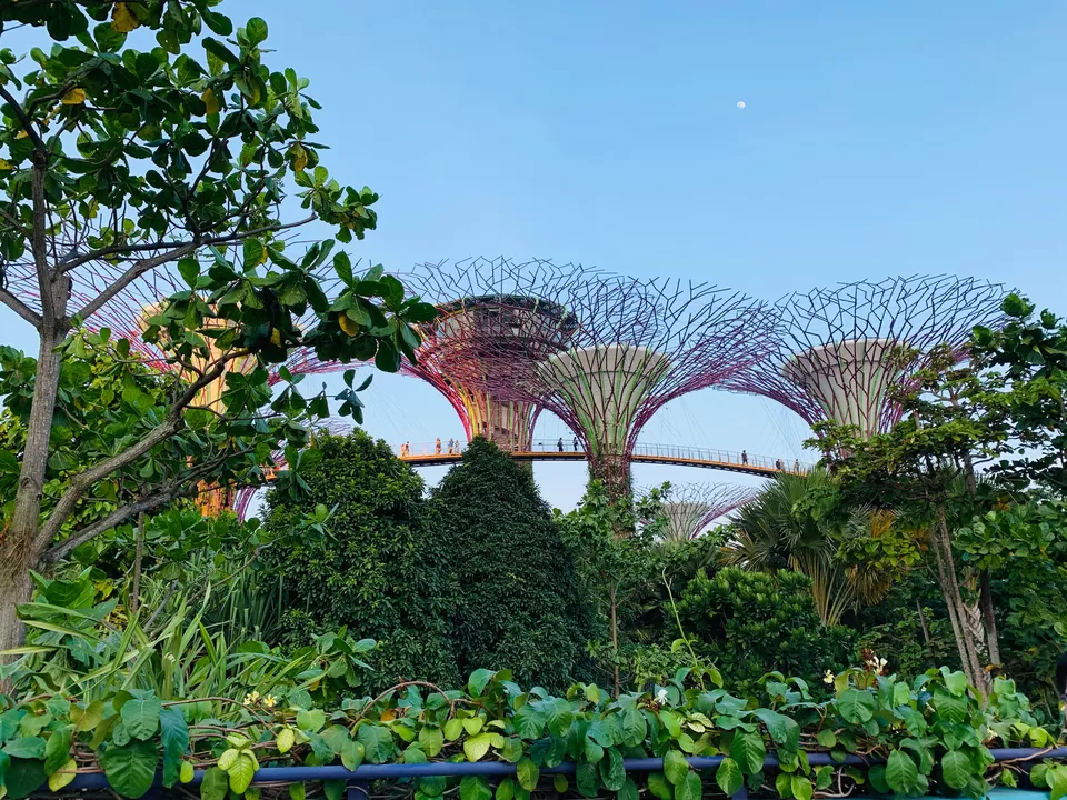 Photo of Best places to visit 2019- Singapore by travelrhapsody.in