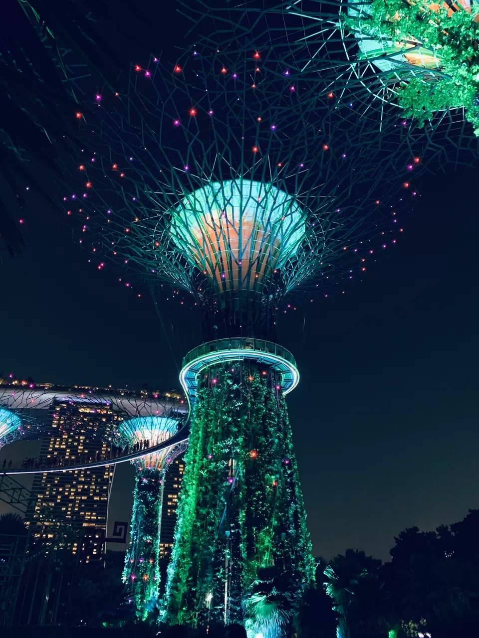 Photo of Best places to visit 2019- Singapore by travelrhapsody.in