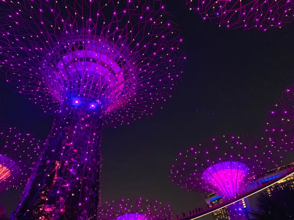 Photo of Best places to visit 2019- Singapore by travelrhapsody.in