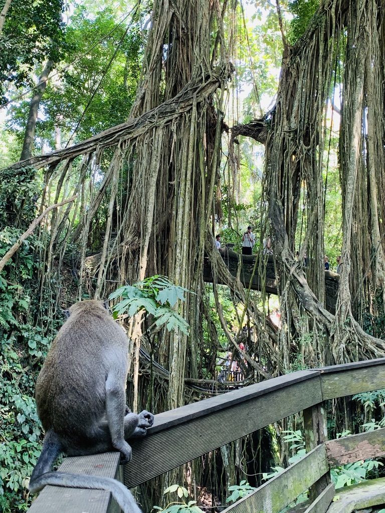 Photo of Bali – One Island, Many Destinations by travelrhapsody.in