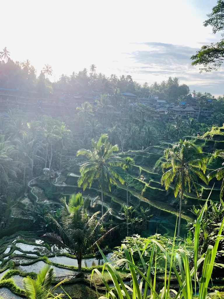 Photo of Bali – One Island, Many Destinations by travelrhapsody.in