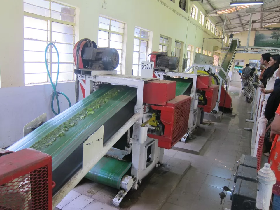 Photo of Kanan Devan Hills Plantations Company Pvt. Ltd., Munnar, Kerala, India by Kavya