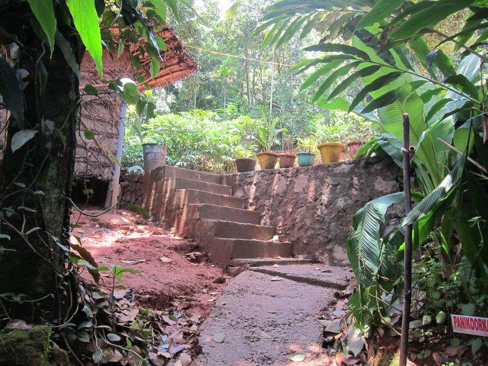 Photo of Kerala Day 1: Descending into Kochin 3/7 by Kavya