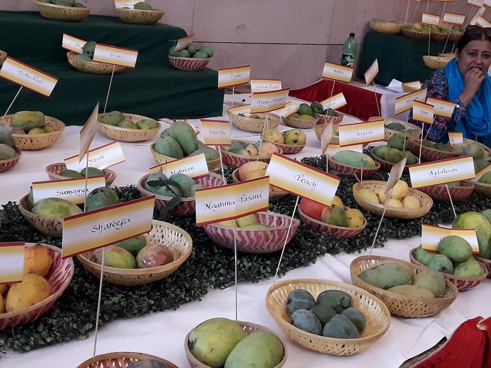 Photo of The Mango Festival in Delhi(Delhi Haat) 3/5 by Sumit Chauhan