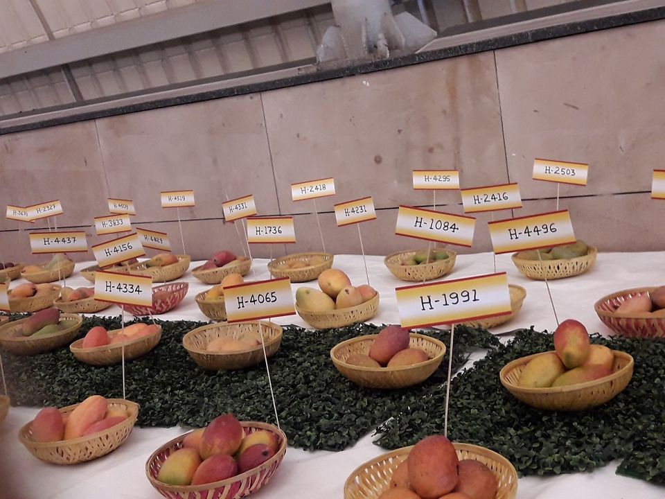 Photo of The Mango Festival in Delhi(Delhi Haat) 4/5 by Sumit Chauhan
