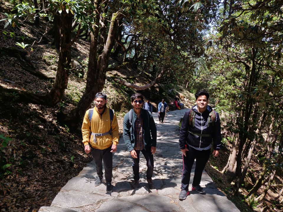 Photo of Tungnath Temple, Chopta, Uttarakhand, India by Rahul Shahi