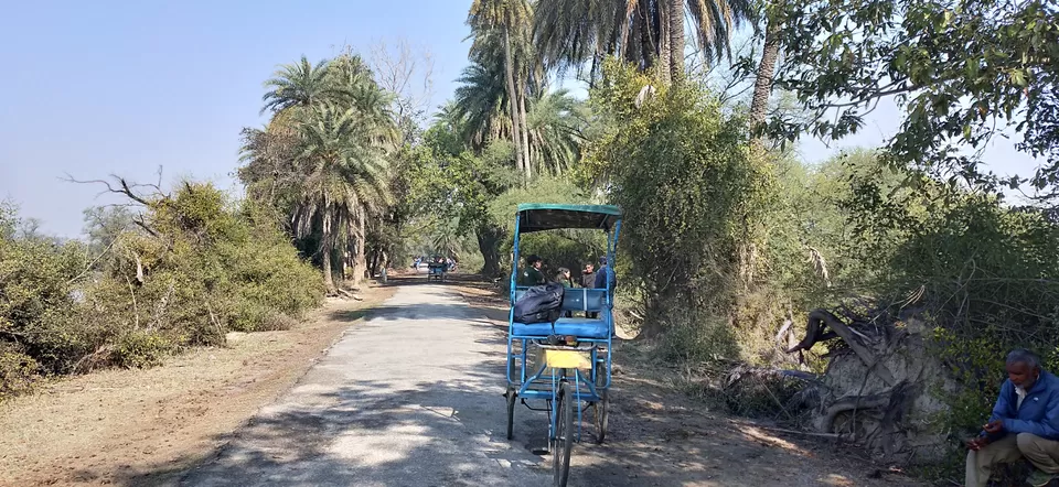 Photo of Bharatpur, Rajasthan, India by Shubham Jamwal