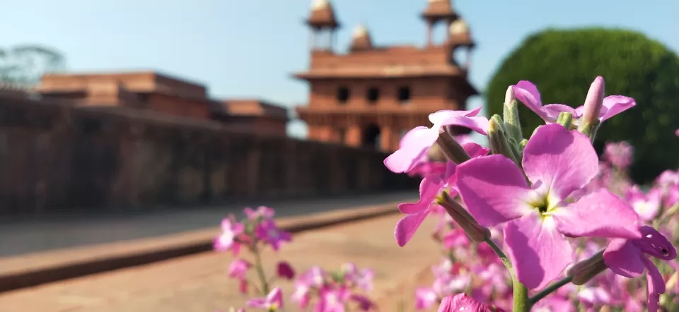 Photo of Fatehpur Sikri, Uttar Pradesh, India by Shubham Jamwal