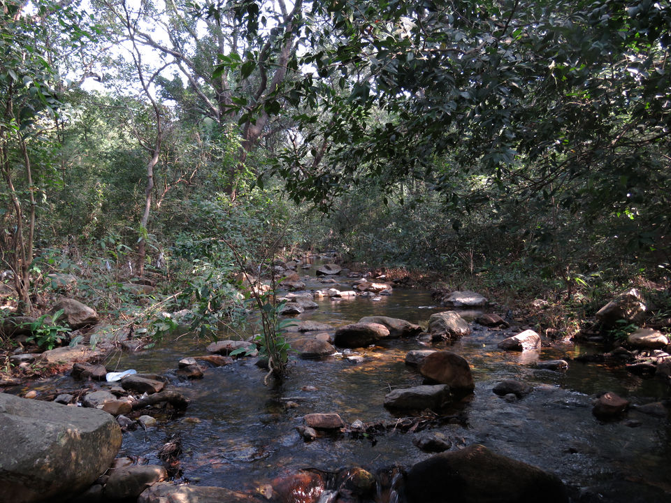 Photo of Nagalapuram falls: A stunner 5/38 by Piyush