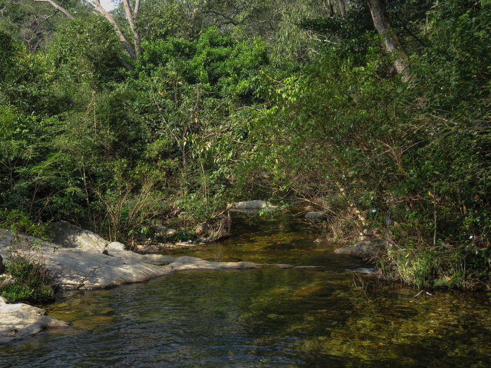 Photo of Nagalapuram falls: A stunner 6/38 by Piyush
