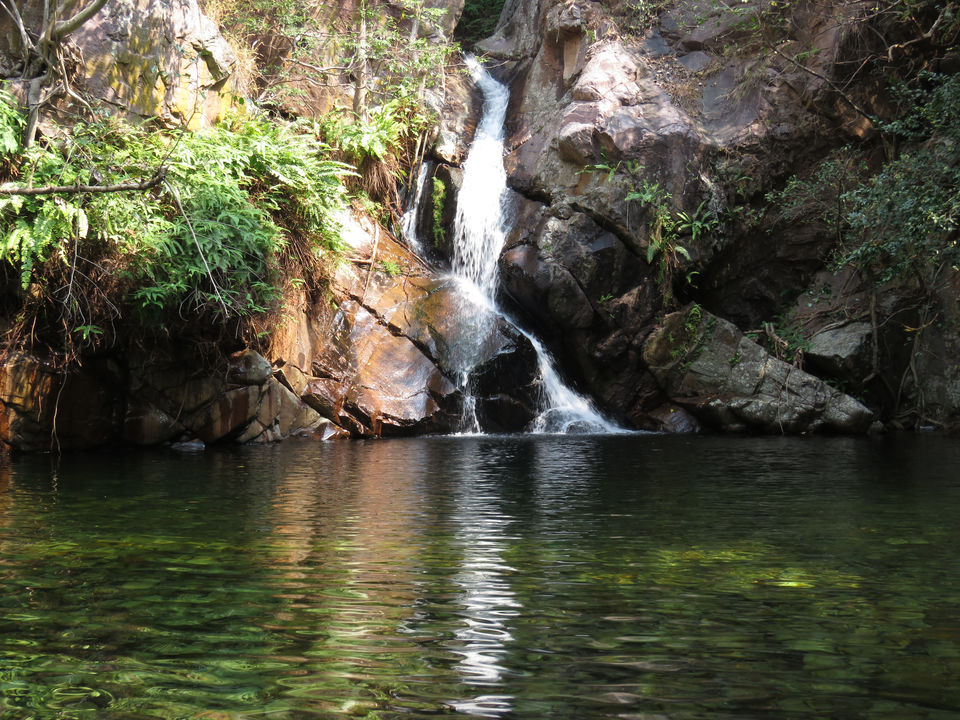 Photo of Nagalapuram falls: A stunner 8/38 by Piyush