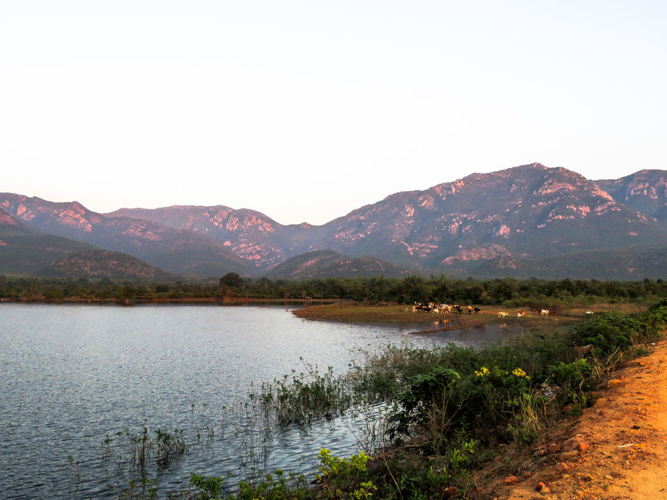 Photo of Nagalapuram falls: A stunner 11/38 by Piyush