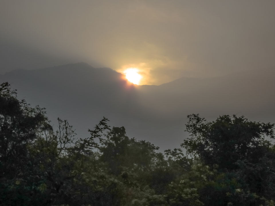 Photo of Nagalapuram falls: A stunner 17/38 by Piyush