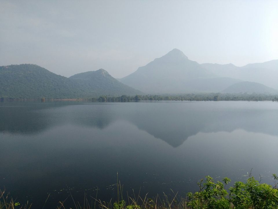 Photo of Nagalapuram falls: A stunner 24/38 by Piyush