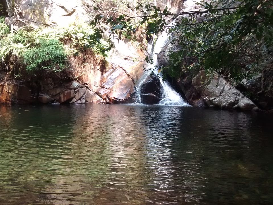 Photo of Nagalapuram falls: A stunner 26/38 by Piyush