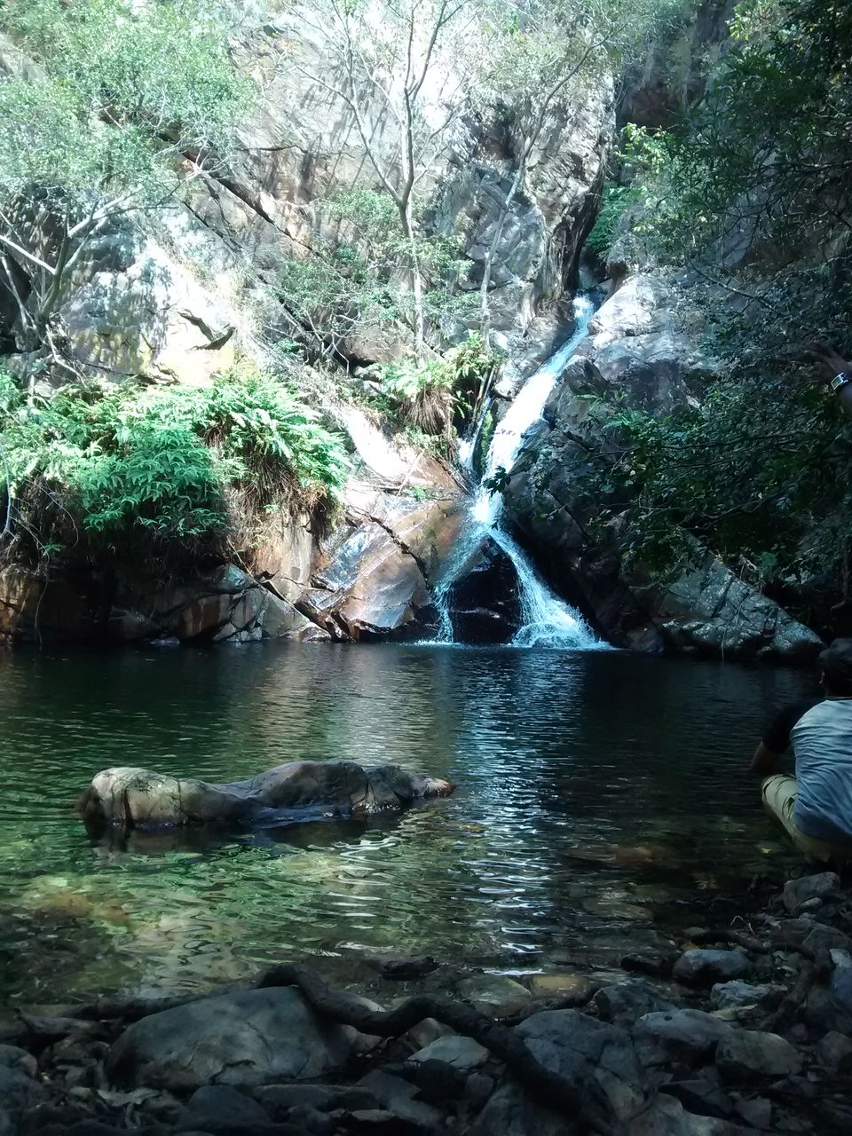 Photo of Nagalapuram falls: A stunner 33/38 by Piyush