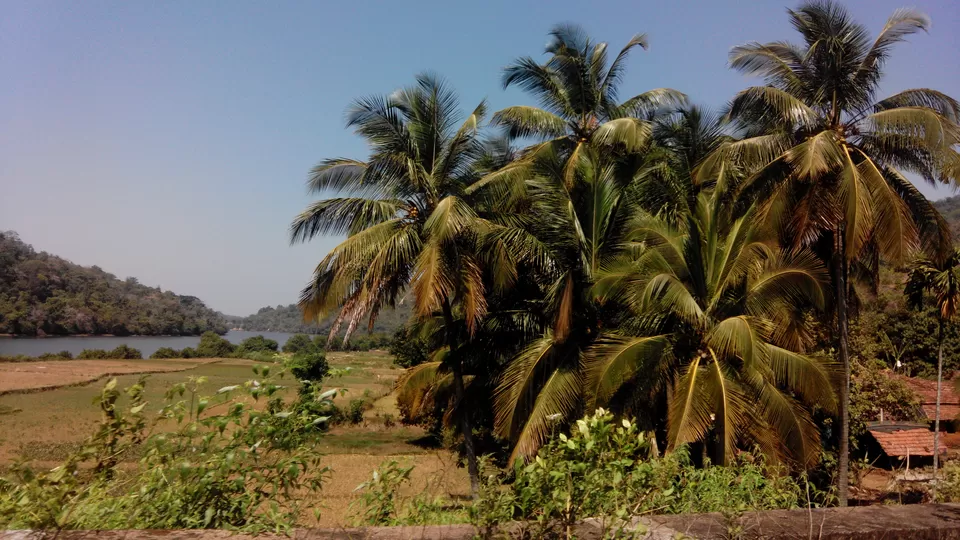 Photo of Goa, India by Piyush