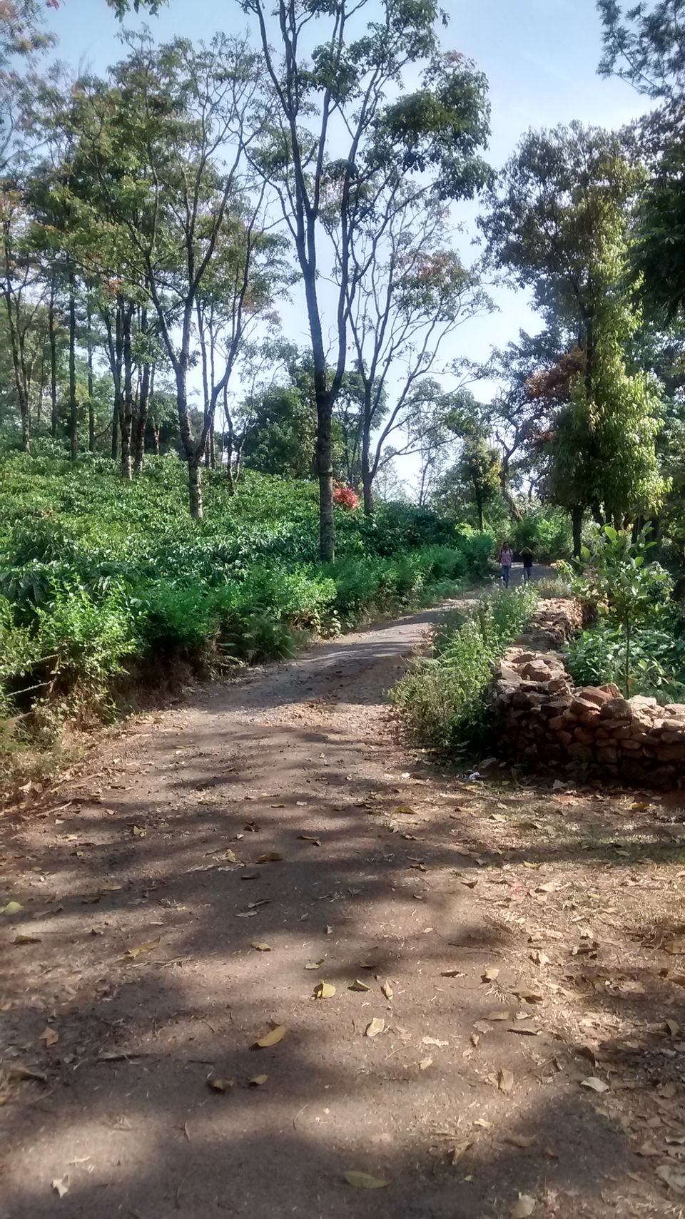 Photo of Tadiyandamol - A perfect Getaway 15/16 by Piyush