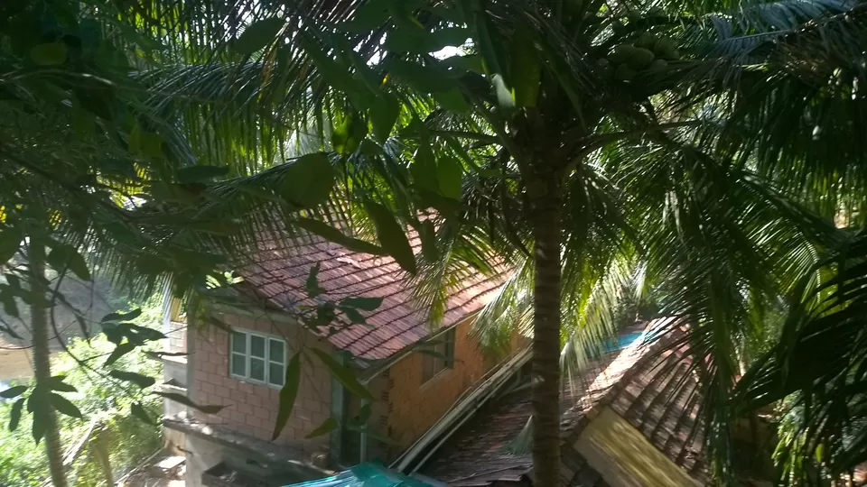 Photo of Goa, India by Piyush