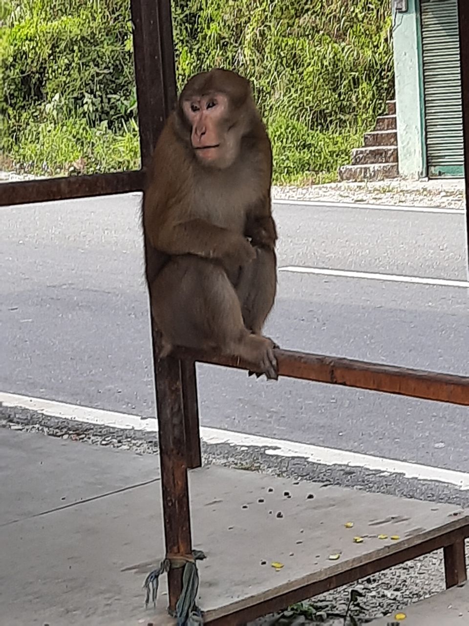 Photo of My Post lockdown travel experience, Sikkhim! by Vinay Gandhi