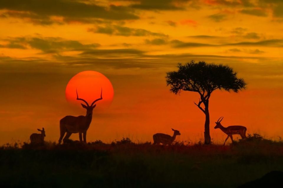 Photo of Top 18 Types of Photography- Photography Ideas & Genre 9/12 by kamal ganwani