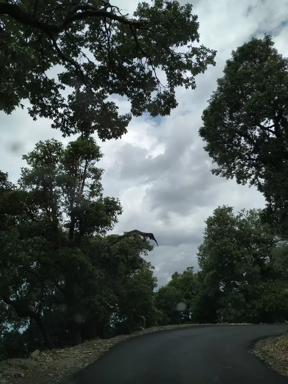Photo of All about the flight that you need to know by Supriya Arora