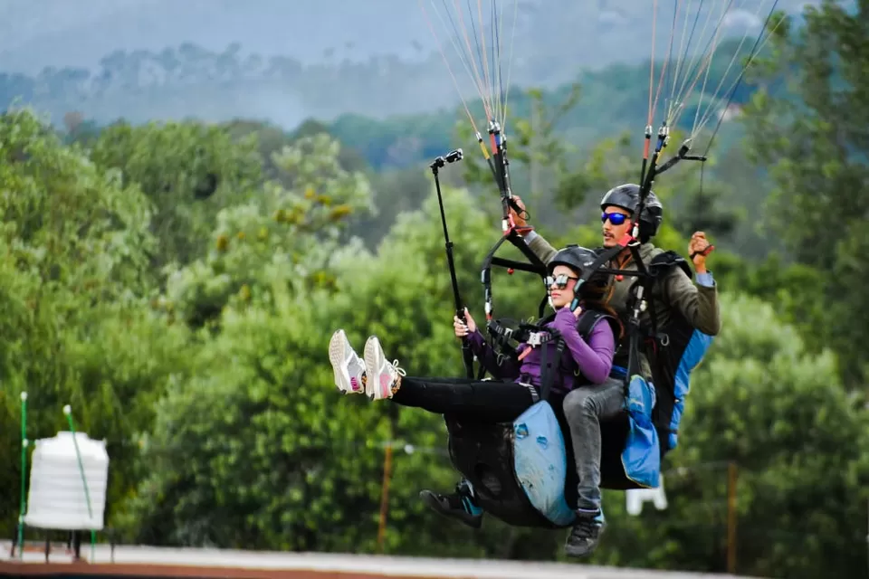Photo of All about the flight that you need to know by Supriya Arora