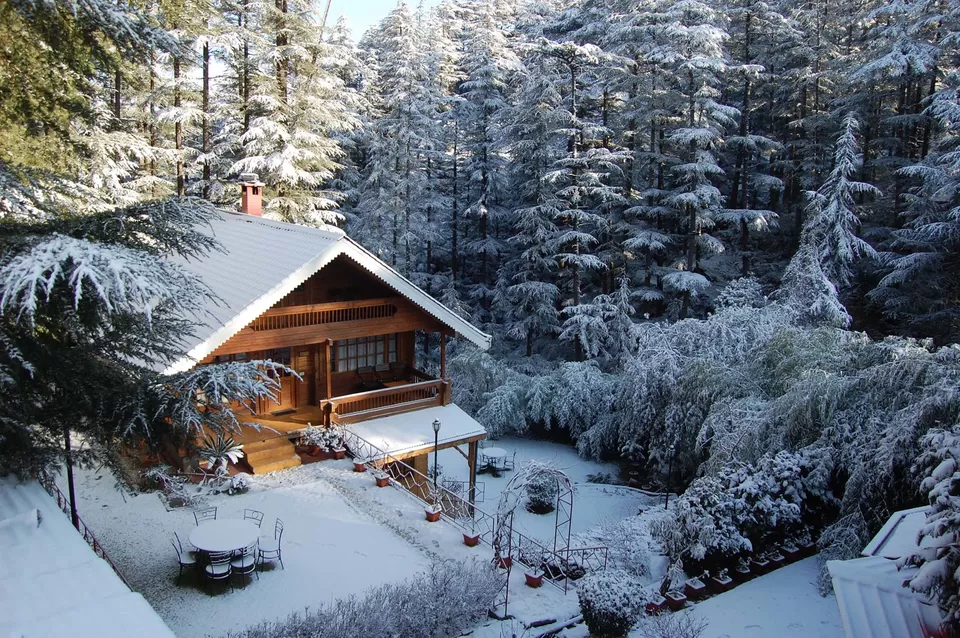 Photo of The Chalets Naldehra, Shimla, Himachal Pradesh, India by vishakha Talreja