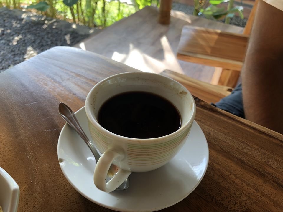Photo of Luwak Coffee, Jalan Raya Kerobokan, Kerobokan Kelod, Kuta, Denpasar City, Bali, Indonesia by Gunjan Sharma
