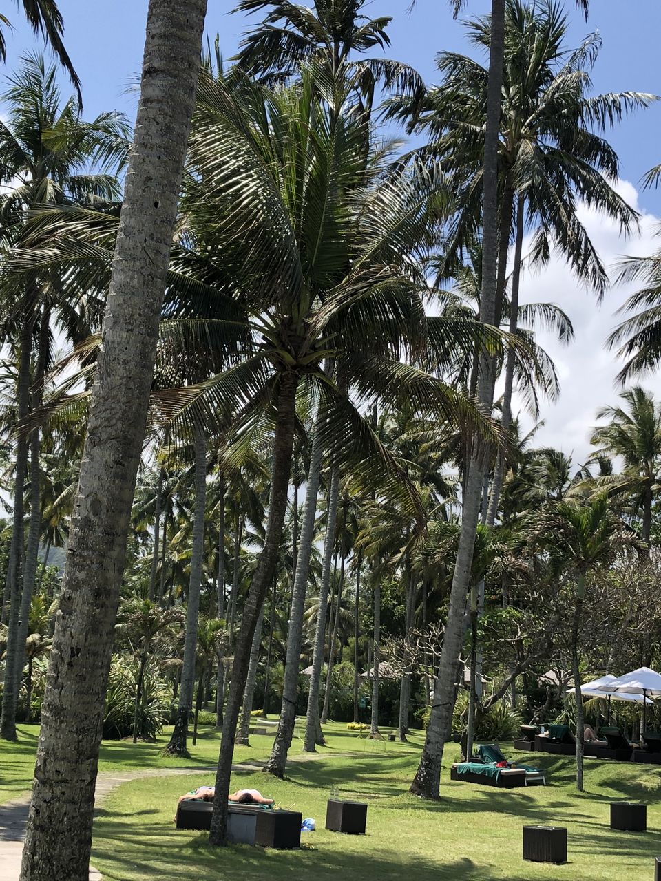 Photo of Candi Beach Resort and Spa, Sengkidu, Karangasem Regency, Bali, Indonesia by Gunjan Sharma