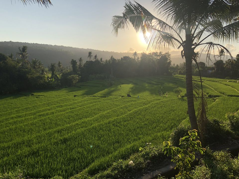 Photo of Ubud, Gianyar, Bali, Indonesia by Gunjan Sharma