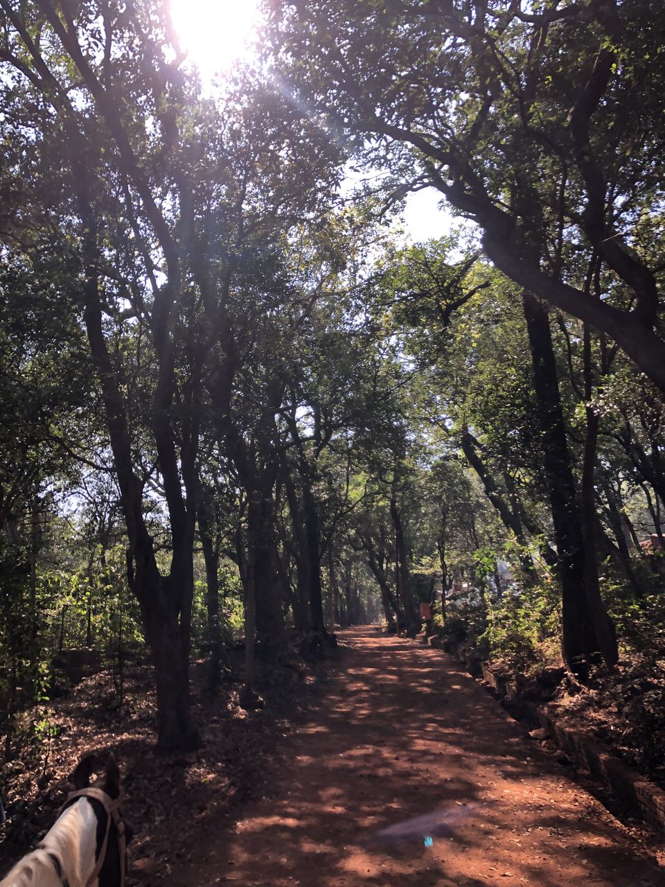 Photo of Weekend Getaway to Matheran 1/9 by Gunjan Sharma