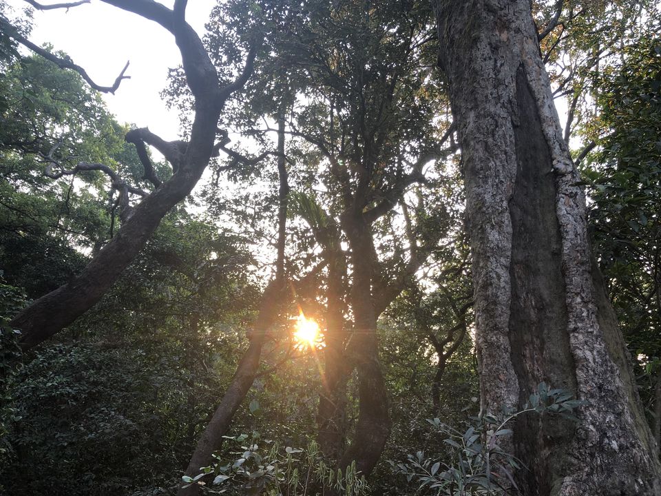 Photo of Weekend Getaway to Matheran 4/9 by Gunjan Sharma