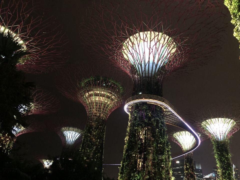 Photo of Marina Gardens Drive, Gardens by the Bay, Singapore by Gunjan Sharma