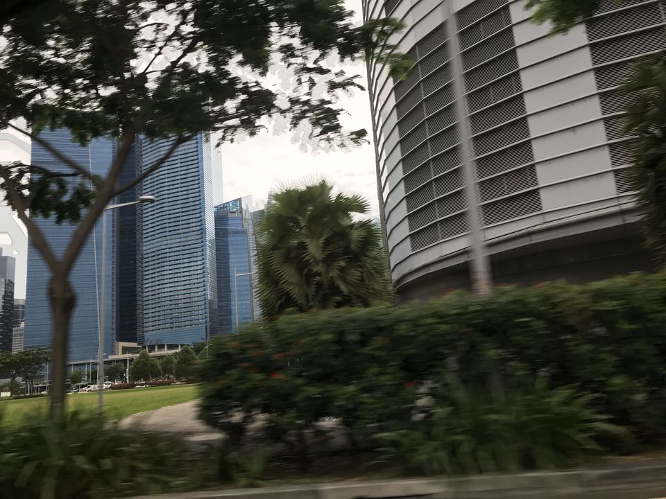 Photo of Marina Gardens Drive, Gardens by the Bay, Singapore by Gunjan Sharma