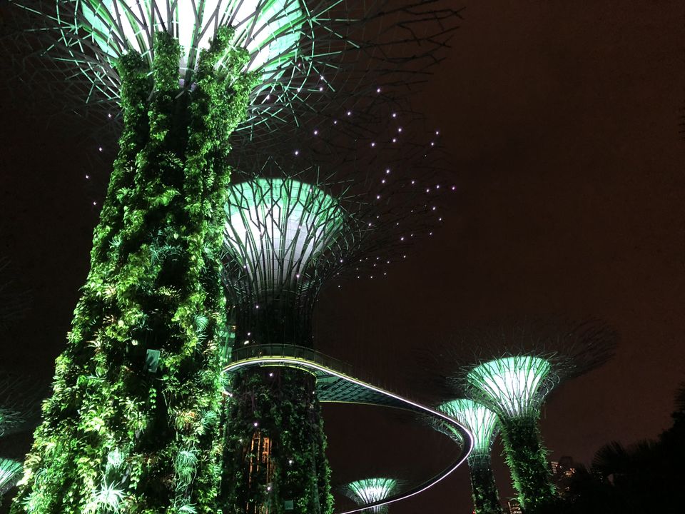 Photo of Marina Gardens Drive, Gardens by the Bay, Singapore by Gunjan Sharma